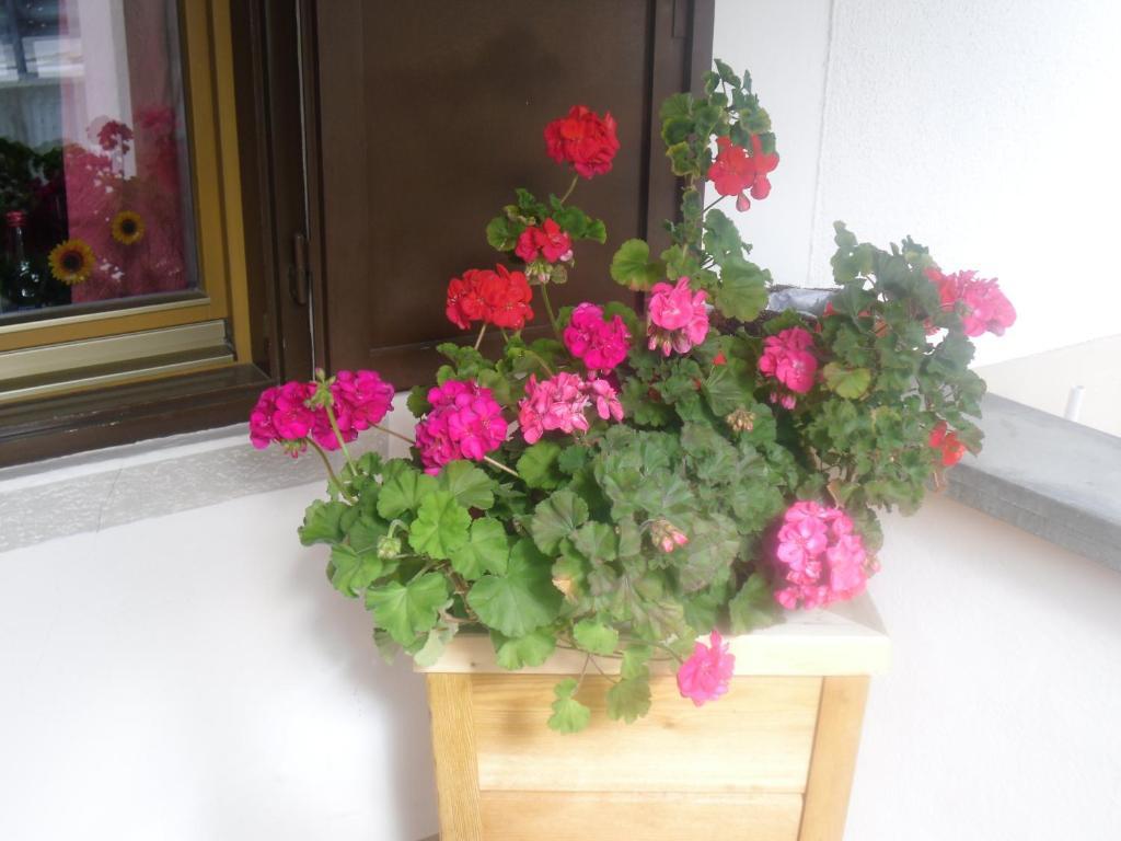Garni Margherita Corvara Exteriör bild